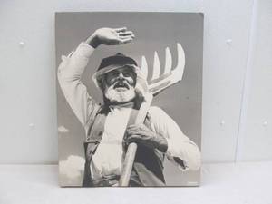 lot 102 image: Farmer picture