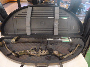 lot 20 image: PSE Predator Bow in Case