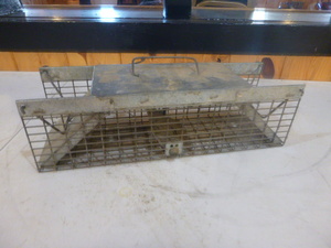 lot 21 image: Havahart Live Trap