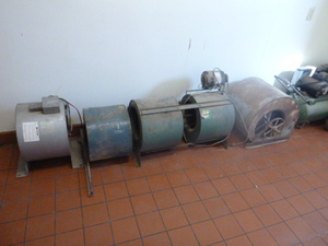 lot 31 image: 5 Squirrel Fans