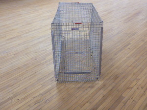 lot 40 image: Kennel-Aire Dog Kennel