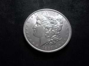 1889 Morgan Silver Dollar