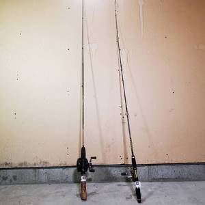 2 Daiwa fishing rod-reel combo