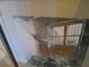 lot 81 image: Claus Meyer 1859 framed art...