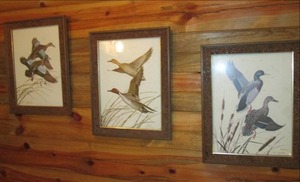 lot 115 image: 3 wild bird pictures...