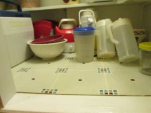 lot 603 image: Coolers, thermoses, platters, ets...