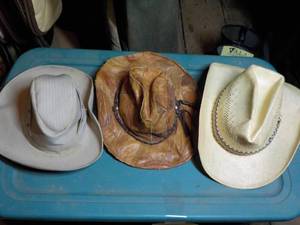 lot 315 image: Vintage Cowboy Hats- 3 ...