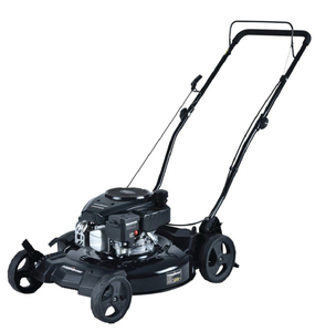 lot 48 image: POWERSMART 21 in. 170 cc Gas 2-in-1 Walk Behind Push Lawn Mower