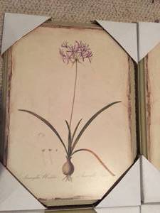 lot 80 image: Floral Framed Art