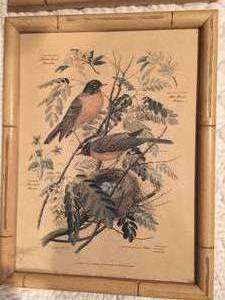 lot 86 image: Set of Four Vintage Bird Framed Art