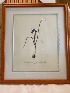 lot 118 image: Assortment  of Large Framed Prints