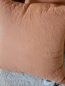 lot 17 image: Fun Accent Pillows
