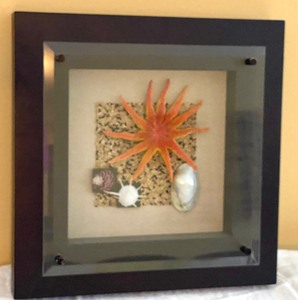 Gorgeous Seashell Themed Framed Art