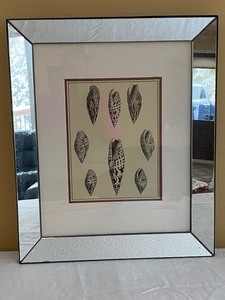 Mirrored Framed Seashell Drawing