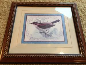 Framed Bird Art