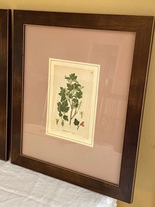 Two Decorative Framed Prints
