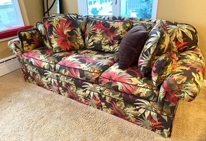 Tropical Print Sofa and Matching Throw Pillows