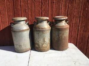 lot 19 image: 3 Milk Cans