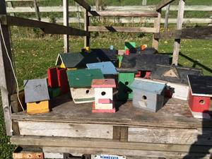 lot 27 image: Collection of Birdhouses