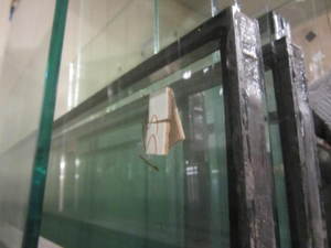 lot 155 image: Double pane thermal windows, three ...