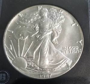 1987 AMERICAN SILVER EAGLE 1 TROY OZ. .999 FINE SILVER BLACK SLAB
