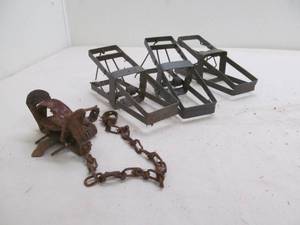 Animal traps