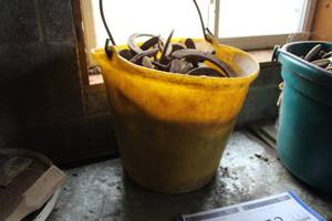 lot 851 image: Lot of (1 Bucket) Horseshoes