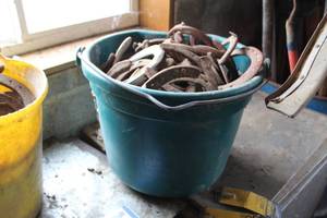 lot 850 image: Lot of (1 Bucket) Horseshoes
