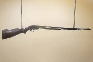 Savage Arms Model 25