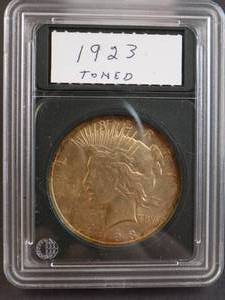 1923  Peace Dollar Toned