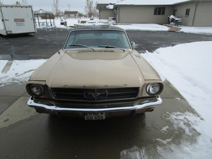 lot 4 image: 1964 12 Mustang