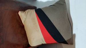 Pair of Contemporary Stylish Throw Pillows