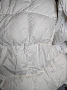 lot 262 image: Down Comforters, Mattress Protectors and Pillows