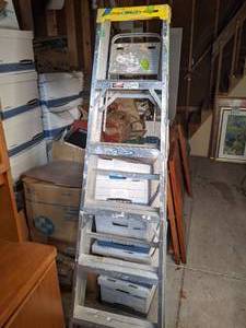 lot 351 image: Werner Aluminum Stepladder