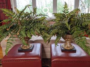 lot 35 image: Gold Pots Holding Faux Ferns