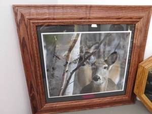 lot 175 image: Framed Deer Picture & Collectible Plate