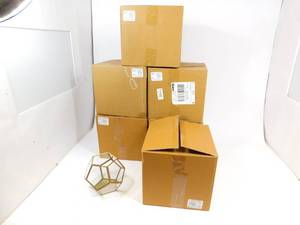 6 Brass Faceted Terrariums