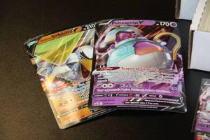 Large Pokemon Lot