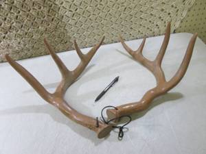 Fake Deer Antlers (Pen to show size...