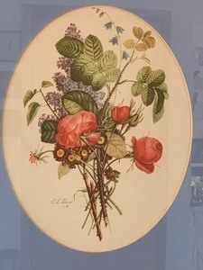 lot 11 image: Vintage Framed BotanicalFloral Print