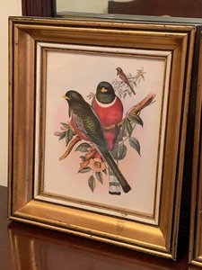 lot 152 image: Two Framed Bird Prints