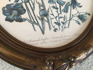 lot 274 image: Vintage Floral Framed Print w Ornate Frame