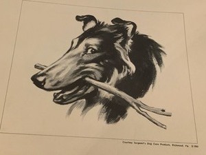 lot 343 image: Vintage PuppyDog Prints- Sergeants Dogs Products - 1951