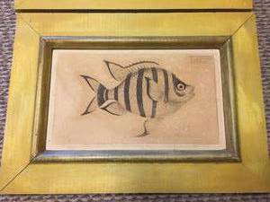 lot 122 image: Exotic Fish Framed Art