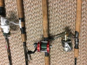 lot 145 image: Fishing Rods and Reels