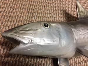 lot 62 image: Taxidermy Fish