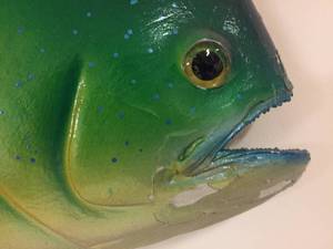 lot 63 image: Taxidermy Wall Mounted Fish