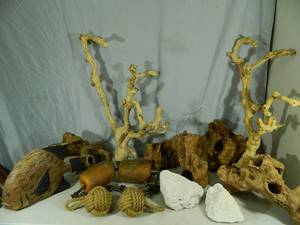 Assorted Home Decor, Coral, Etc