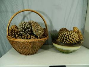 Large Basket and Bowl Full of Pine Cones