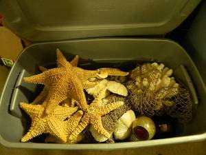 Large Tote FULL of Beach  Ocean Items